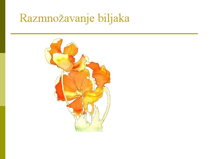 Razmnožavanje biljaka 