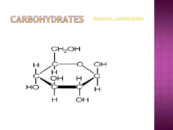 Bozeman - Carbohydrates 