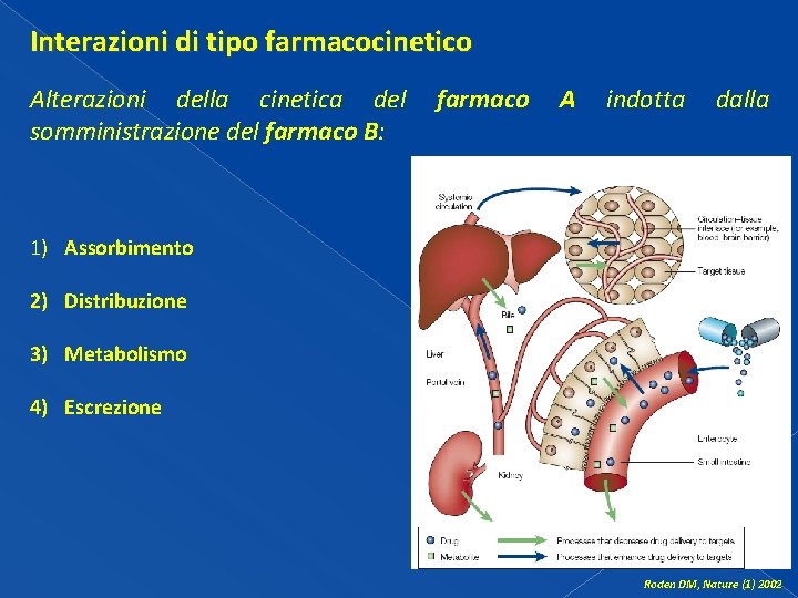 Interazioni di tipo farmacocinetico Alterazioni della cinetica del somministrazione del farmaco B: farmaco A Interazioni di tipo farmacocinetico Alterazioni della cinetica del somministrazione del farmaco B: farmaco A