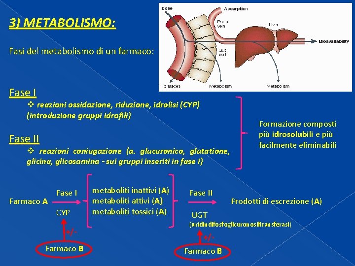 3) METABOLISMO: Fasi del metabolismo di un farmaco: Fase I v reazioni ossidazione, riduzione, 3) METABOLISMO: Fasi del metabolismo di un farmaco: Fase I v reazioni ossidazione, riduzione,