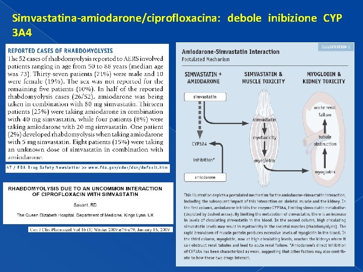 Simvastatina-amiodarone/ciprofloxacina: debole inibizione CYP 3 A 4 Simvastatina-amiodarone/ciprofloxacina: debole inibizione CYP 3 A 4