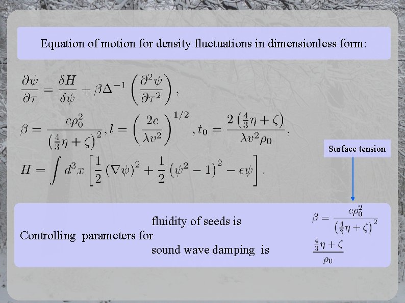 Equation of motion for density fluctuations in dimensionless form: Surface tension fluidity of seeds Equation of motion for density fluctuations in dimensionless form: Surface tension fluidity of seeds