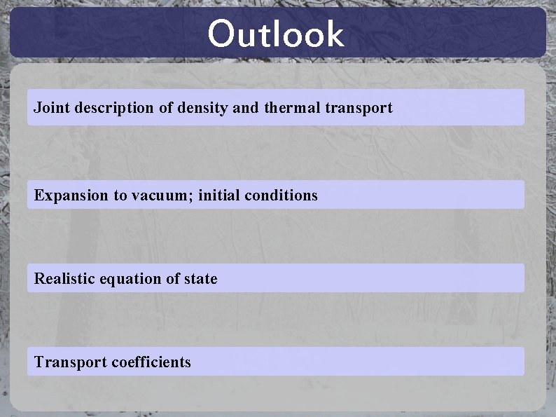 Outlook Joint description of density and thermal transport Expansion to vacuum; initial conditions Realistic Outlook Joint description of density and thermal transport Expansion to vacuum; initial conditions Realistic