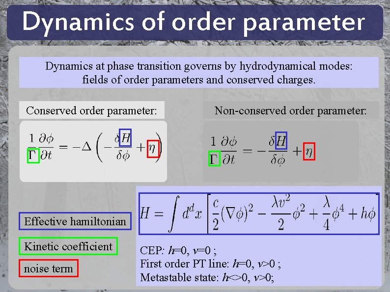 Dynamics of order parameter Dynamics at phase transition governs by hydrodynamical modes: fields of Dynamics of order parameter Dynamics at phase transition governs by hydrodynamical modes: fields of