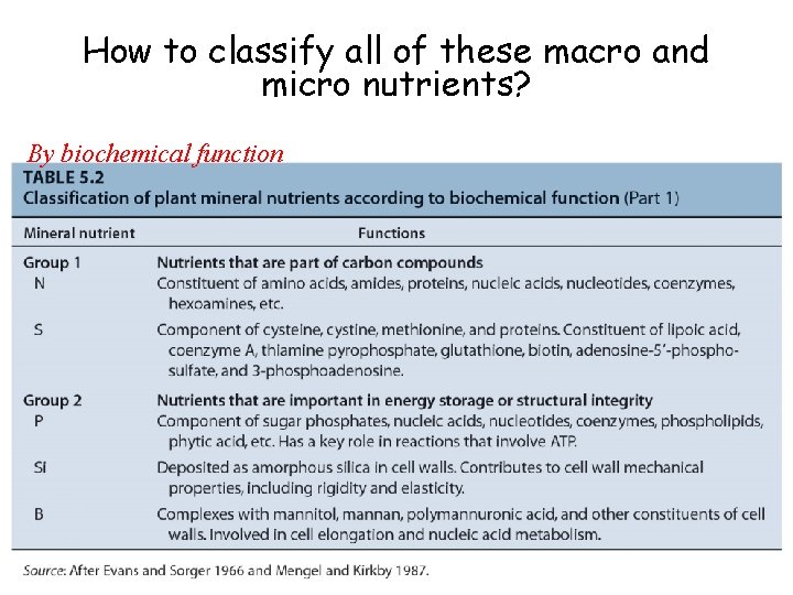 How to classify all of these macro and micro nutrients? By biochemical function 