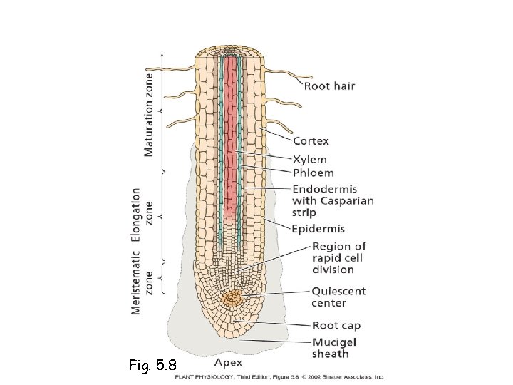 Fig. 5. 8 