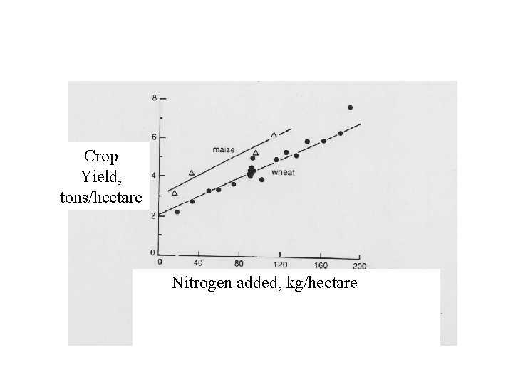 Add more fertilizer nitrogen, get more crop production. Crop Yield, tons/hectare Nitrogen added, kg/hectare