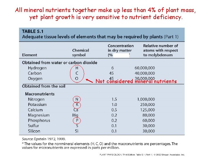 All mineral nutrients together make up less than 4% of plant mass, yet plant