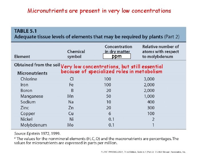 Micronutrients are present in very low concentrations ppm Very low concentrations, but still essential