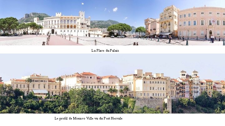 La Place du Palais Le profil de Monaco Ville vu du Port Hercule 