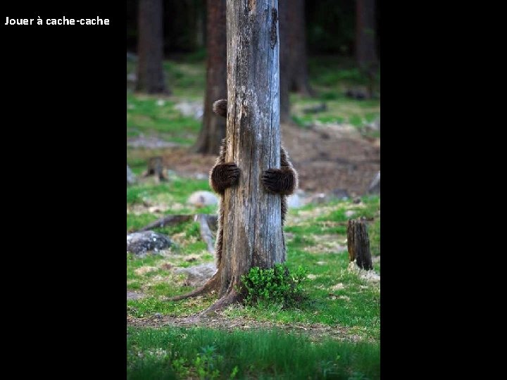 Jouer à cache-cache 