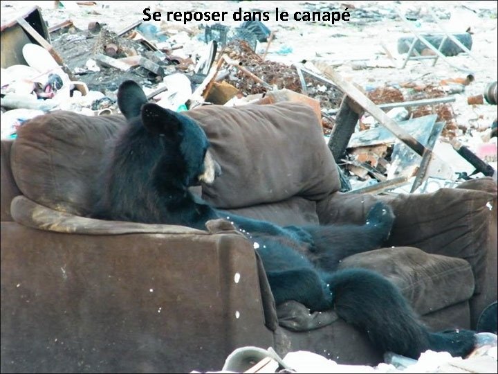 Se reposer dans le canapé 