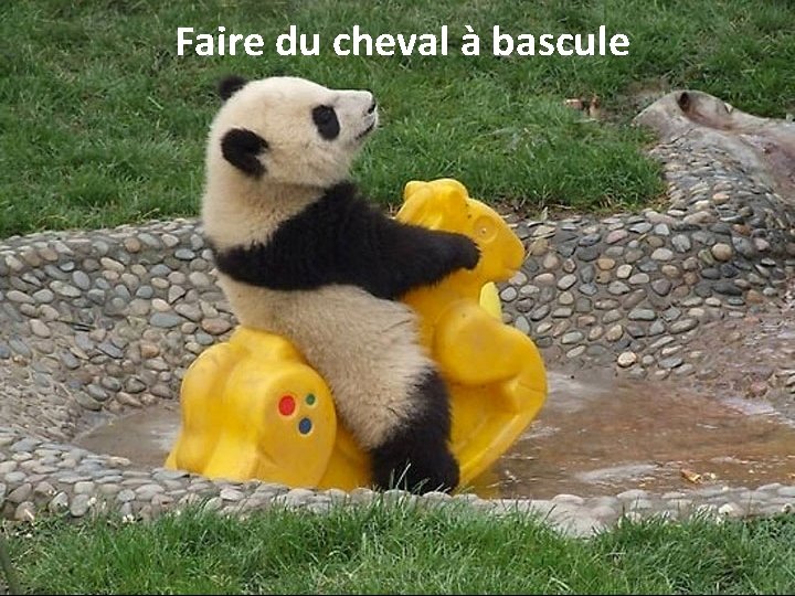  Faire du cheval à bascule 