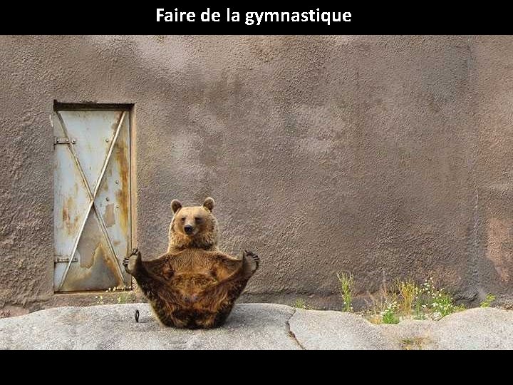 Faire de la gymnastique 