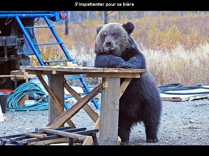 S’impatienter pour sa bière 