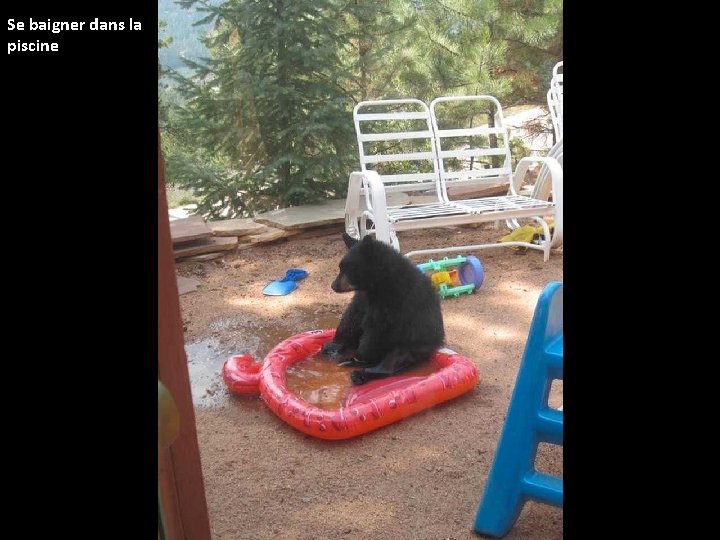 Se baigner dans la piscine 