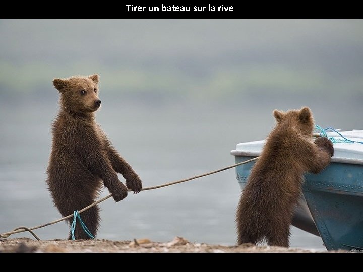 Tirer un bateau sur la rive 