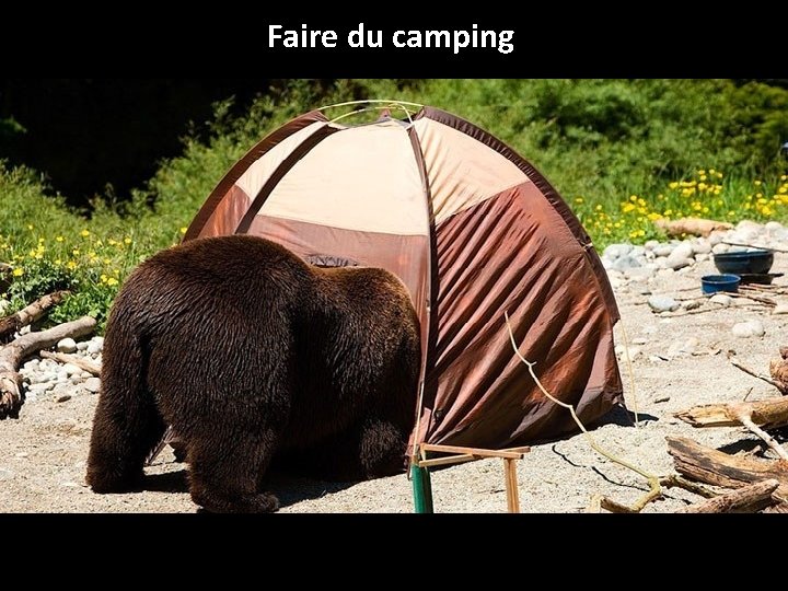 Faire du camping 
