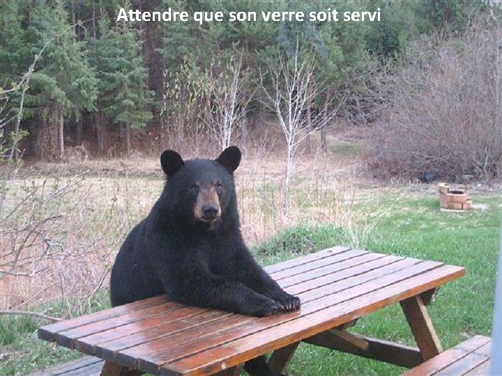 Attendre que son verre soit servi 