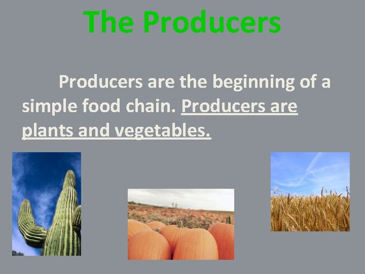 The Producers are the beginning of a simple food chain. Producers are plants and