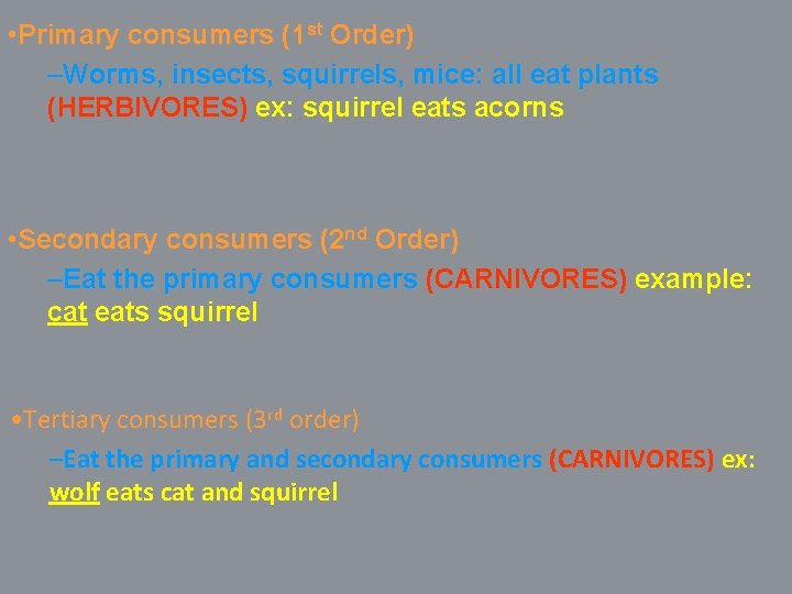  • Primary consumers (1 st Order) –Worms, insects, squirrels, mice: all eat plants