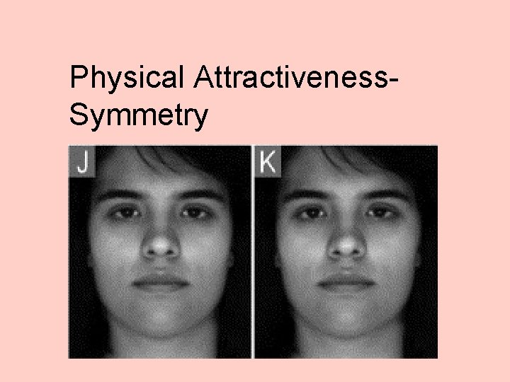 Physical Attractiveness. Symmetry 