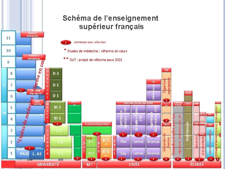 Schéma de l’enseignement supérieur français Médecin spécialiste 11 S * Etudes de médecine :