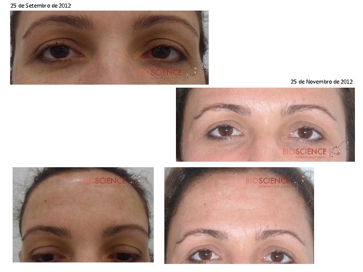 25 de Setembro de 2012 25 de Novembro de 2012 