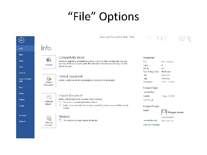 “File” Options 