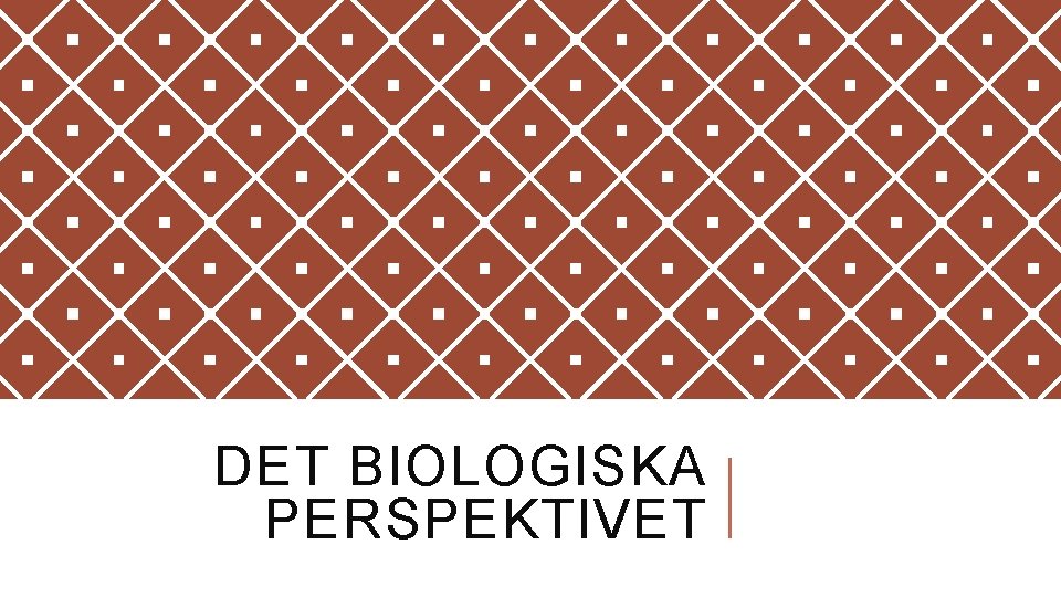 DET BIOLOGISKA PERSPEKTIVET 