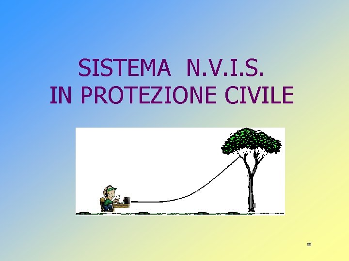 SISTEMA N. V. I. S. IN PROTEZIONE CIVILE 55 