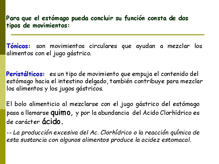 Para que el estómago pueda concluir su función consta de dos tipos de movimientos: