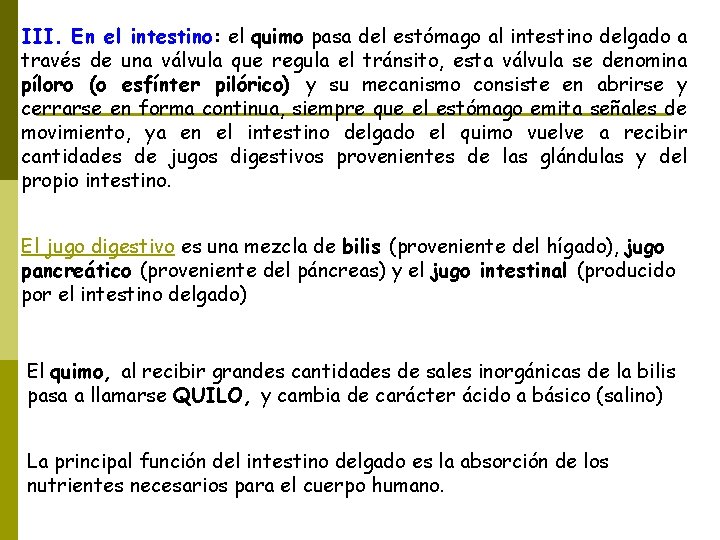 III. En el intestino: el quimo pasa del estómago al intestino delgado a través