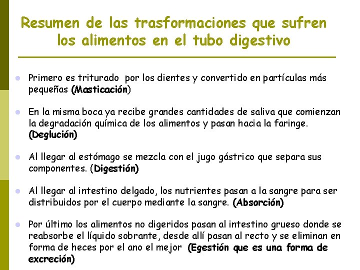 Resumen de las trasformaciones que sufren los alimentos en el tubo digestivo Primero es