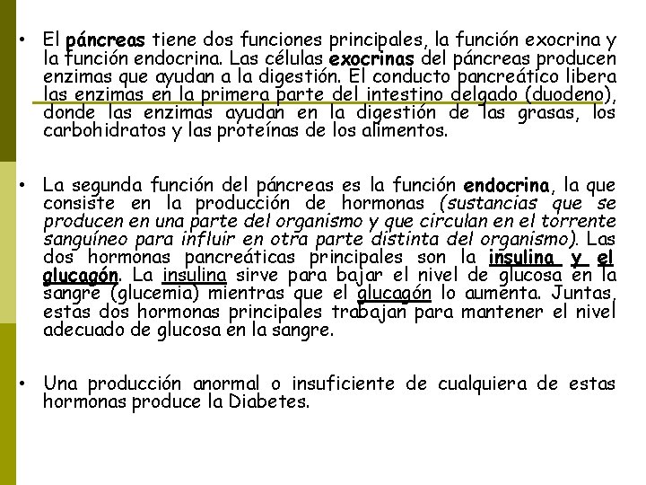  • El páncreas tiene dos funciones principales, la función exocrina y la función
