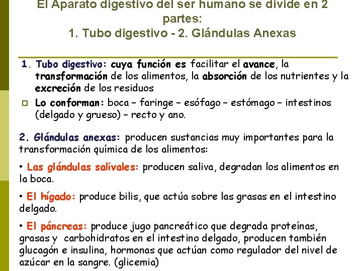 El Aparato digestivo del ser humano se divide en 2 partes: 1. Tubo digestivo