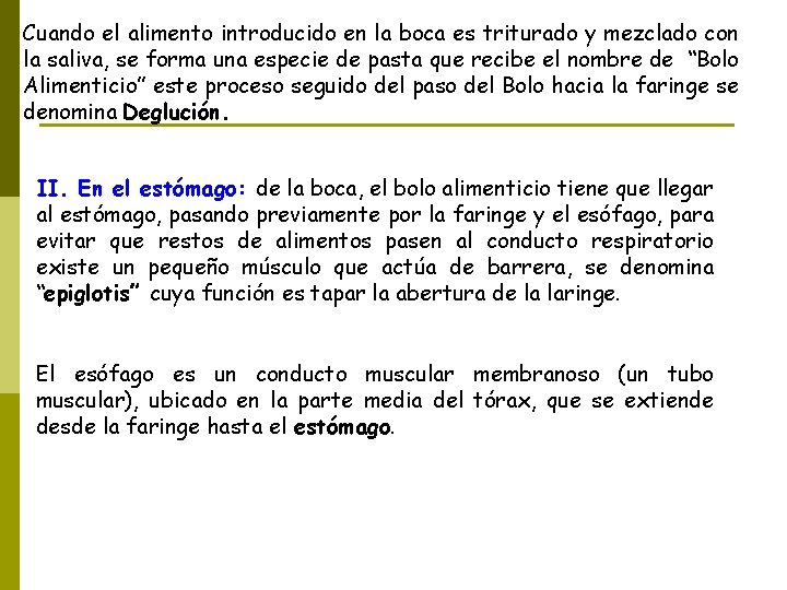 Cuando el alimento introducido en la boca es triturado y mezclado con la saliva,