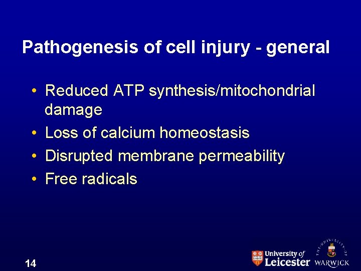 Pathogenesis of cell injury - general • Reduced ATP synthesis/mitochondrial damage • Loss of