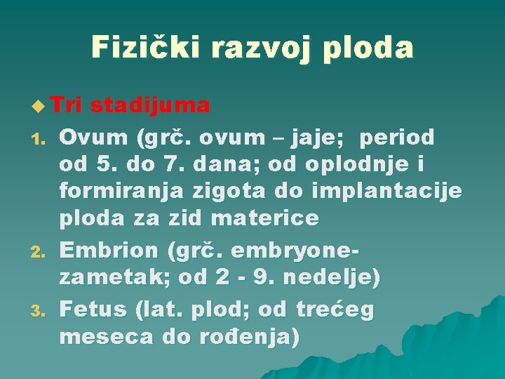 Fizički razvoj ploda u Tri 1. 2. 3. stadijuma Ovum (grč. ovum – jaje;