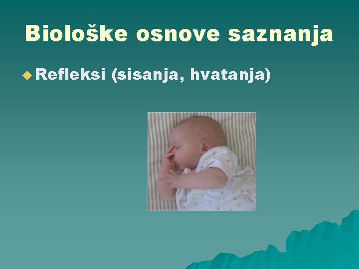 Biološke osnove saznanja u Refleksi (sisanja, hvatanja) 