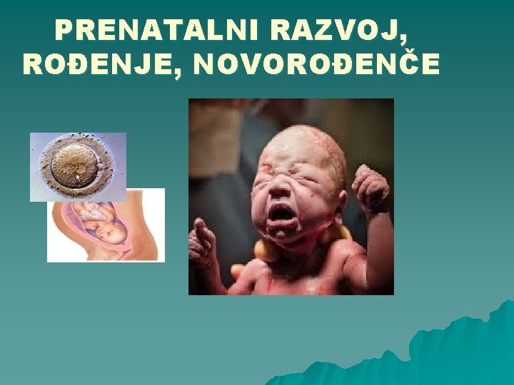 PRENATALNI RAZVOJ, ROĐENJE, NOVOROĐENČE 