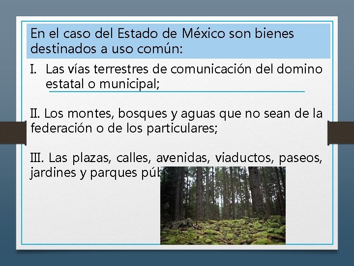 En el caso del Estado de México son bienes destinados a uso común: I.