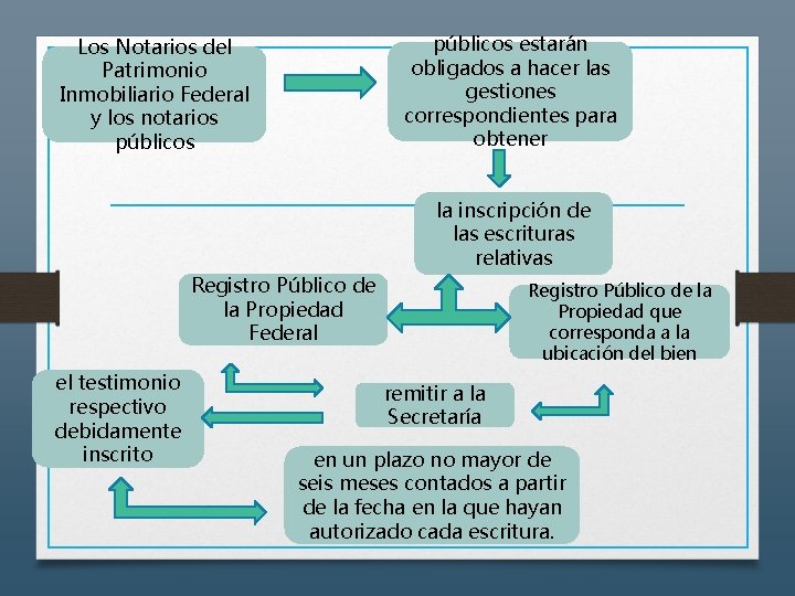 públicos estarán obligados a hacer las gestiones correspondientes para obtener Los Notarios del Patrimonio