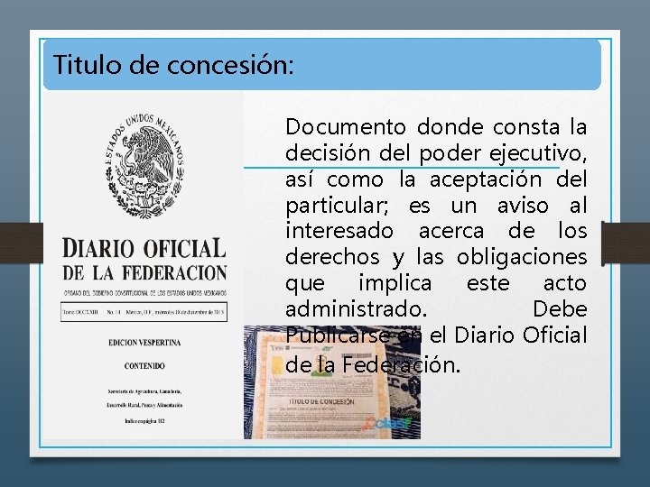 Titulo de concesión: Documento donde consta la decisión del poder ejecutivo, así como la