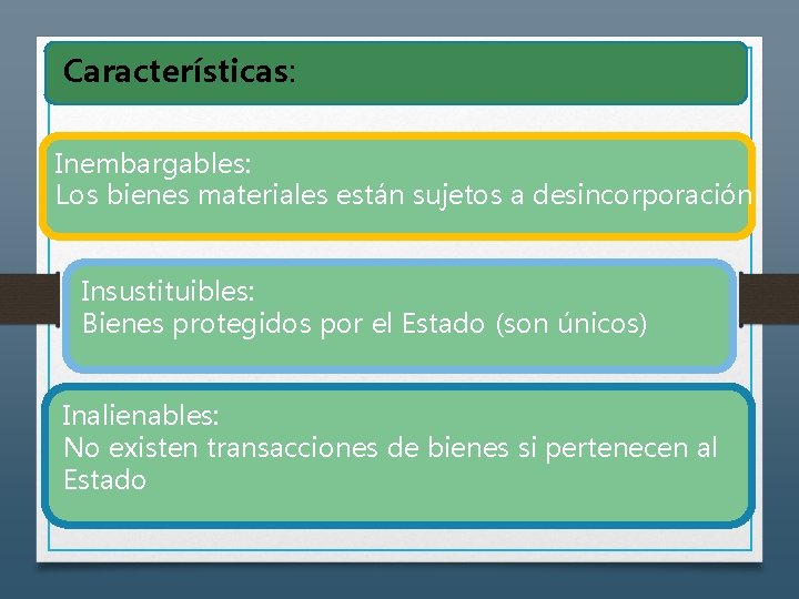 Características: Inembargables: Los bienes materiales están sujetos a desincorporación Insustituibles: Bienes protegidos por el