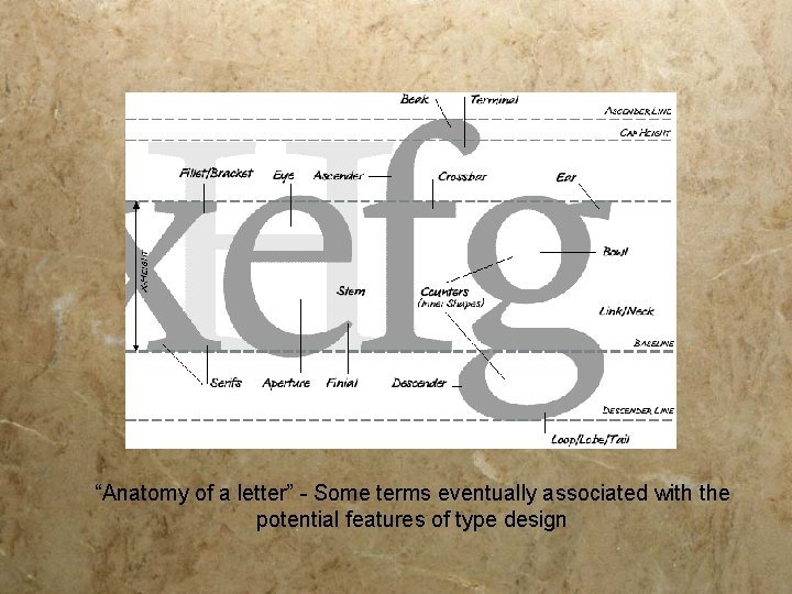 “Anatomy of a letter” - Some terms eventually associated with the potential features of