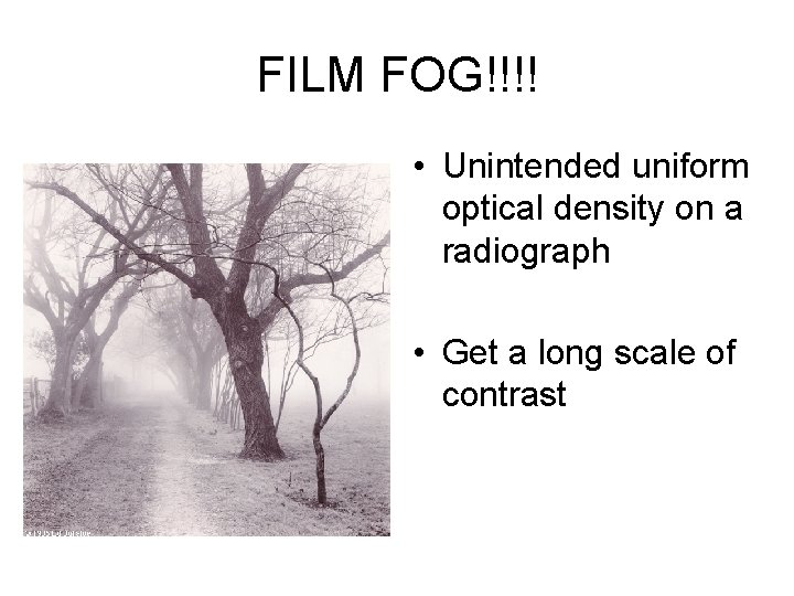 FILM FOG!!!! • Unintended uniform optical density on a radiograph • Get a long