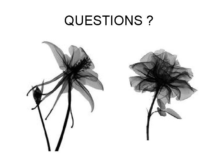 QUESTIONS ? 