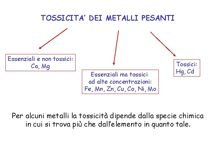 TOSSICITA’ DEI METALLI PESANTI Essenziali e non tossici: Ca, Mg Essenziali ma tossici ad