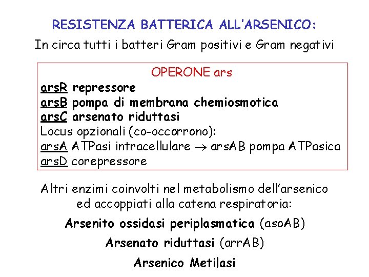 RESISTENZA BATTERICA ALL’ARSENICO: In circa tutti i batteri Gram positivi e Gram negativi OPERONE